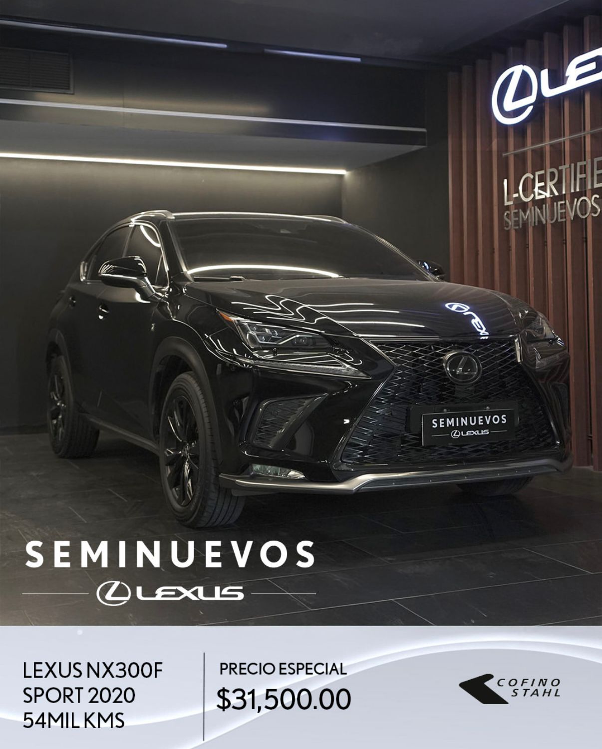 NX300  (NEGRO GRAFITO)